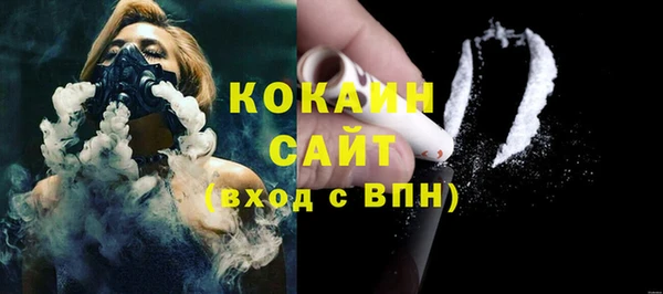 прущие грибы Аркадак