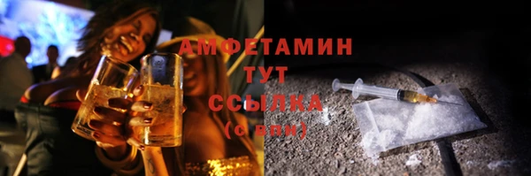 прущие грибы Аркадак
