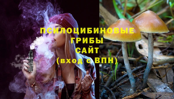 эйфоретик Армянск