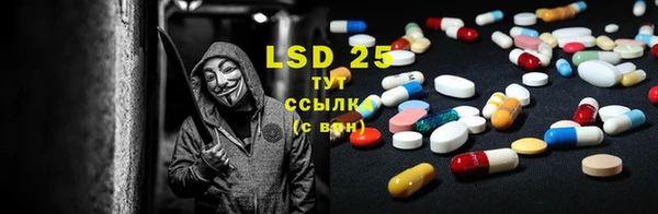 прущие грибы Аркадак