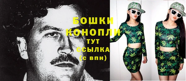 прущие грибы Аркадак