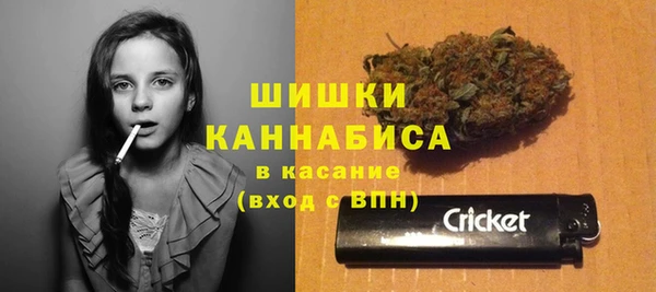 прущие грибы Аркадак