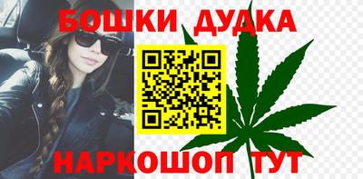 индика Краснознаменск