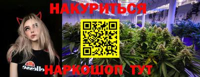 индика Краснознаменск