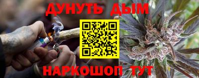 индика Краснознаменск