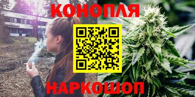 индика Краснознаменск