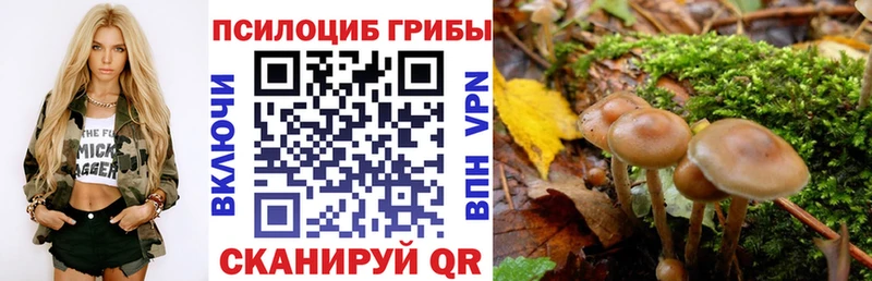 цена Канаш Псилоцибиновые грибы прущие грибы