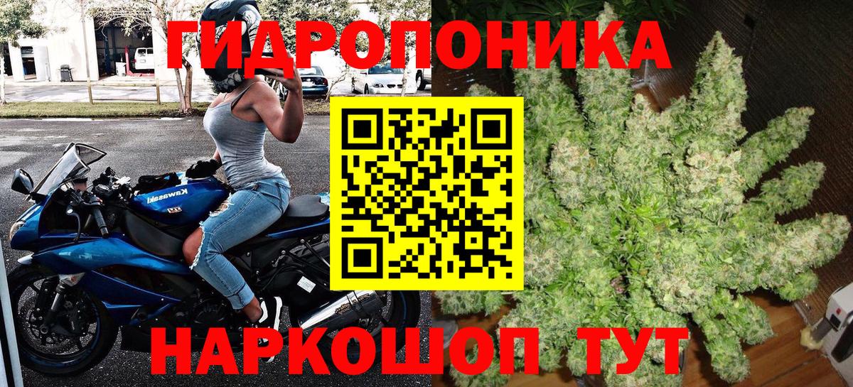 Шишки марихуана гибрид Канаш